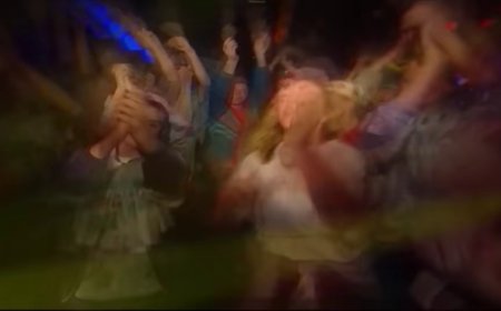 Party Animals - Have You Ever Been Mellow